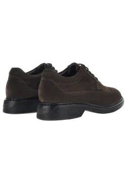 H576 Derby Ebano
