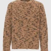 Roundneck Pongo