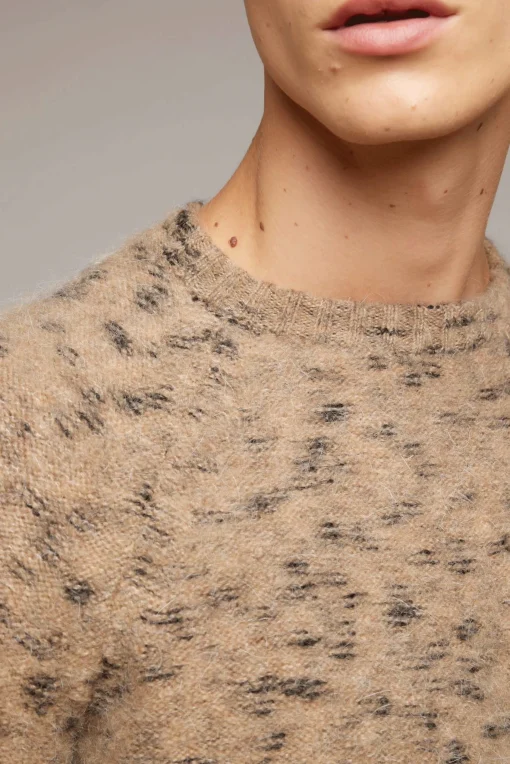 Roundneck Pongo