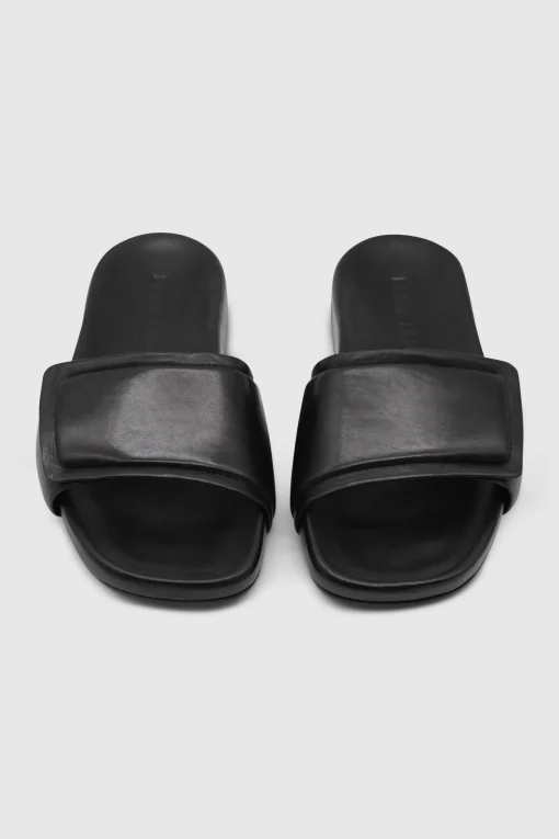 Slides