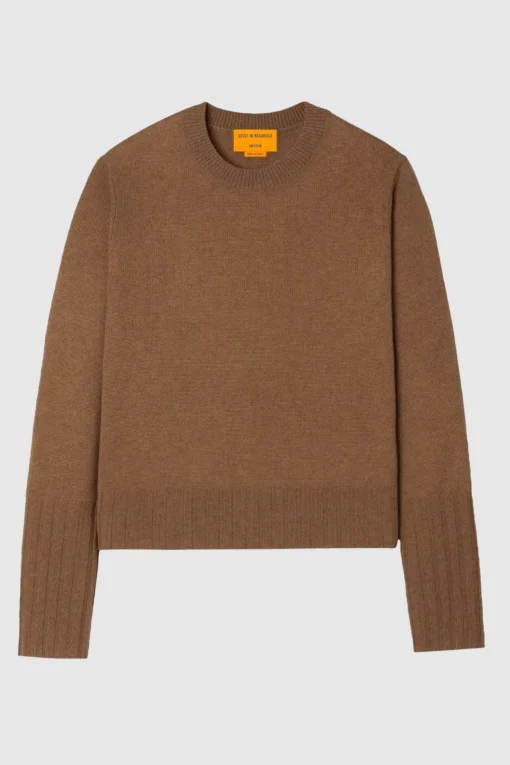 Sweatshirt Shrunken