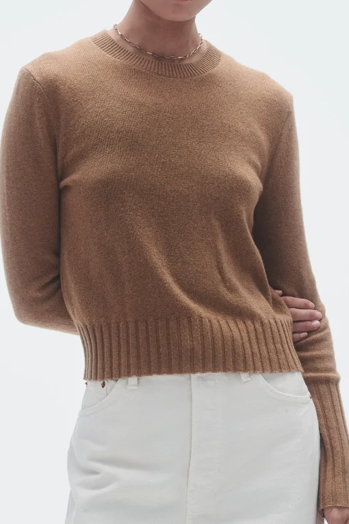 Sweatshirt Shrunken