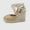 Wedge Yucatan